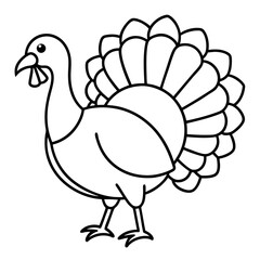 Elegant Turkey Line Drawing