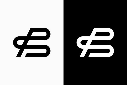 BS Vector Logo Premium 