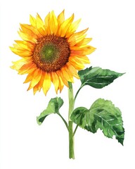 Obraz premium Bold outline map of Ukraine filled with a single large sunflower. Symbol of Ukrainian strength and identity on a white background.