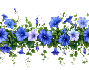 Seamless Horizontal Border of Blue Glory Flowers with Intertwining Vines, isolated on a transparent background.