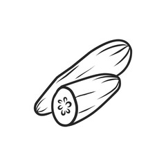 Fresh Hand-Drawn Cucumber Slices for Healthy Salads and Refreshing Snacks