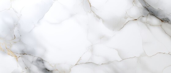 The Beautiful White Marble Surface with Elegant Gray Veining and Texture