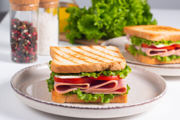 Close-up of two sandwiches with bacon, salami, prosciutto and fresh vegetables on rustic wooden...