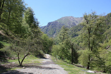 Obraz premium road in mountains