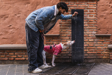 Young man giving water to his ibizan hound dog from a public fountain