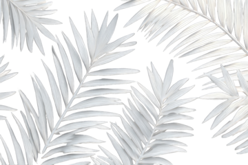 Abstract pattern of white palm fronds against black background