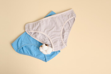 Set of women's comfortable cotton briefs slips with cotton flower top view. Concept: feminine hygiene and health. Gynecology and reproductive functions. panties for teenager
