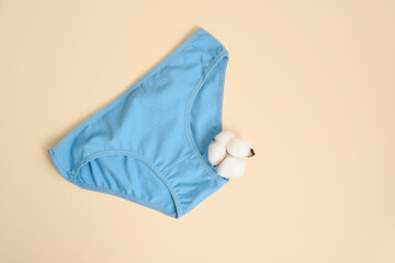 Set of women's comfortable cotton briefs slips with cotton flower top view. Concept: feminine...