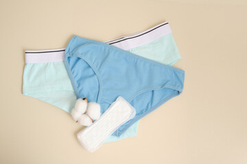 Women's Comfortable Panties Small Size and Cotton Flower top view