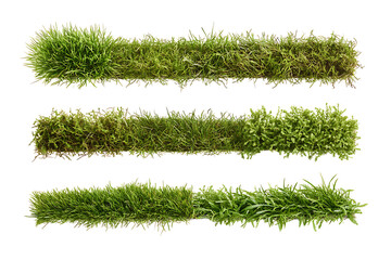 Three distinct sections of lush green grass arranged horizontally, showcasing texture and variety
