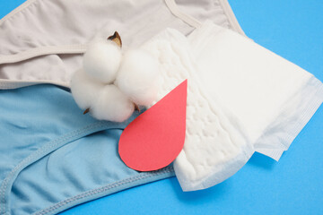 women's comfortable panties, blood drop made of paper, pads and cotton flower, feminine hygiene products made of natural materials concept