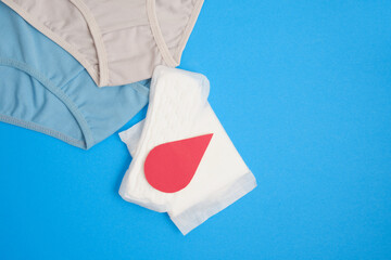 women's comfortable panties, blood drop from paper and pads, feminine hygiene products made from...