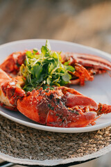 A plate of food with a lobster on it. The plate is white and the lobster is red