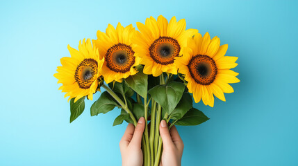 Top View of Female Hands Holding Sunflowers on Blue Background, Floral Flatlay Concept for Modern Floristry, Summer Vibrance and Botanical Art.