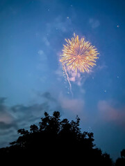 Exploding gold chrysanthemum firework shell exploding above trees