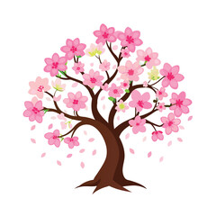 cherry blossom tree Vector on white background