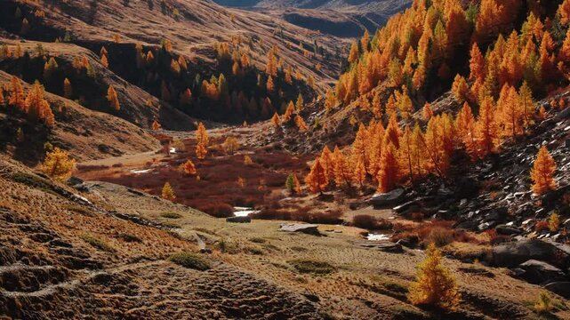 Autumnal alpine valley golden larch trees vibrant foliage rocky slopes sunlight mountain landscape breathtaking scenery nature photography picturesque view tranquil scene outdoor adventure majestic hi