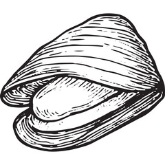 Hand-Drawn Black and White Clam Shell Illustration for Design Projects
