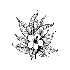 Elegant botanical illustration of a single hibiscus flower surrounded by detailed leaves artistic monochrome sketch
