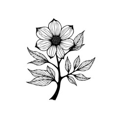 Elegant floral illustration with delicate petals and leaves creating a timeless natural beauty in black and white