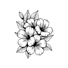 Hand drawn tropical hibiscus flower illustration creating a delicate botanical sketch design for floral elegance