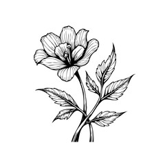 Elegant floral illustration featuring a blooming flower with intricate line work suitable for design projects and decorative purposes