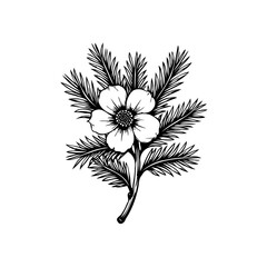 Elegant floral illustration featuring a delicate flower surrounded by evergreen branches providing beauty and nature