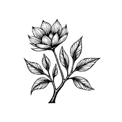 Elegant botanical illustration featuring a blooming flower with detailed petals and leaves in black and white floral design