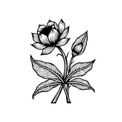 Elegant black and white floral illustration showcasing a blooming lotus flower with detailed leaves and buds