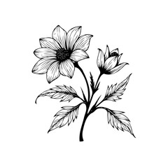 Elegant floral botanical illustration featuring a blooming flower with detailed petals and leaves artistic monochrome vector design