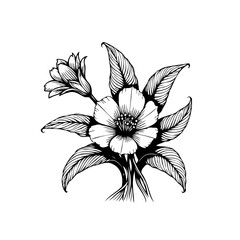 Elegant botanical illustration showcasing the beauty of a flower with detailed leaf outlines and black lines