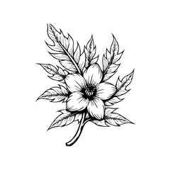Detailed botanical illustration showcasing a delicate flower with intricate leaves enhancing aesthetic appeal in design