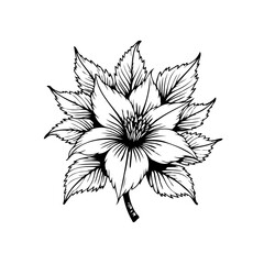 Elegant monochrome floral design featuring detailed flower blossoms and stylized foliage for artistic creations projects