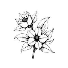 Detailed botanical illustration featuring intricate line work of blooming flowers and leaves creates elegant design for nature lovers