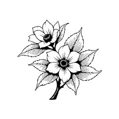 Elegant floral design showcases delicate blossoms and intricate leaves against a clean white backdrop art