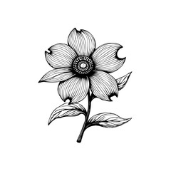 Elegant floral line art illustration showcasing delicate petals and intricate details in a minimalist design