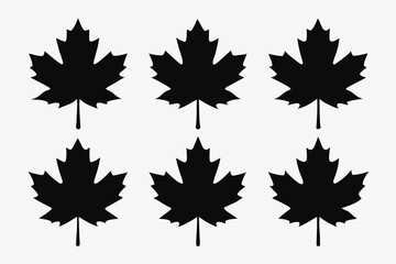 Set of colorful autumn maple leaves isolated on white background