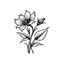 Elegant floral design with intricate line work showcasing a blooming flower and delicate leaves vector illustration