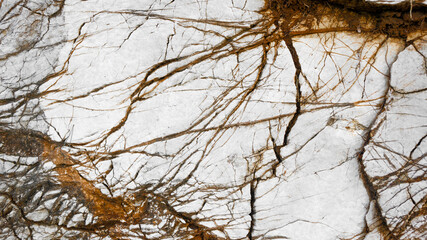Abstract Stone Background with Brown and White Mineral Patterns