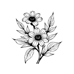 Delicate botanical illustration: Intricate hand-drawn daisies with elegant leaves create a captivating visual artwork