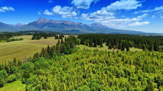 Flight over the pine-tree wood growing in the valley. Amazing Tatra mountains at backdrop. Blue sky with clouds at backdrop. Slovakia.
