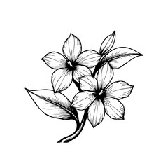 Elegant floral line art illustration featuring delicate flower blossoms and leaves in black and white