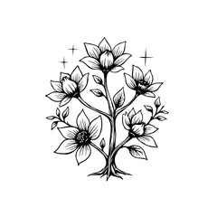 Elegant botanical illustration displaying detailed lotus flowers surrounded by celestial stars and intricate leaf designs in black and white