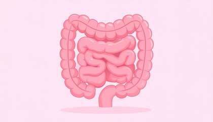 A stylized illustration of the human digestive system, showcasing the intestines and colon in detail.