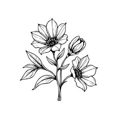 Elegant botanical illustration: delicate flower bouquet, detailed line art, floral design, charming aesthetic, artistic expression