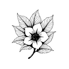 Elegant floral illustration, black and white botanical drawing featuring delicate flower blossom with intricately patterned leaves, artistic rendering