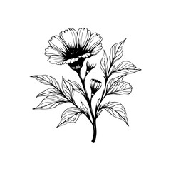 Elegant floral vector illustration showcasing delicate flowers and leaves in intricate black and white sketch style