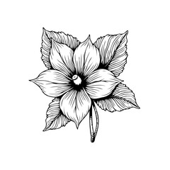 Elegant botanical illustration of a delicate flower with intricately detailed leaves for design projects