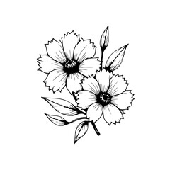 Elegant floral drawing showcasing delicate flower outlines and intricate details with simple and classic design