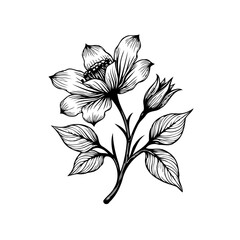 Elegant botanical illustration of a flowering branch with detailed leaves a beautiful and striking design